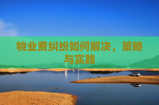 物业费纠纷如何解决，策略与实践