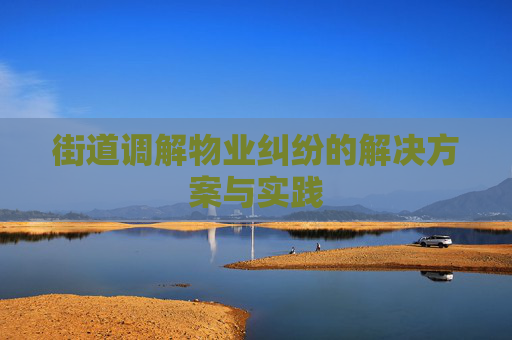 街道调解物业纠纷的解决方案与实践