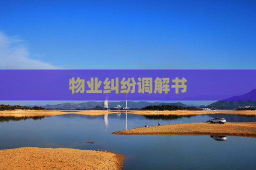 物业纠纷调解书