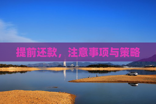 提前还款，注意事项与策略