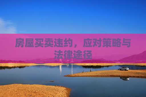 房屋买卖违约，应对策略与法律途径