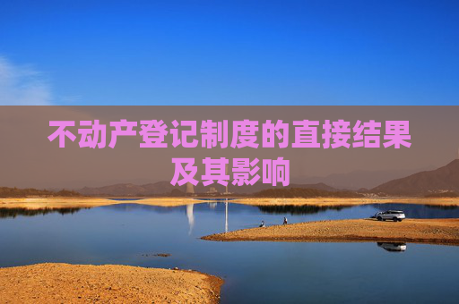 不动产登记制度的直接结果及其影响