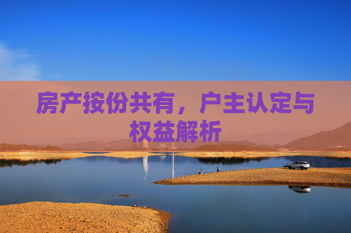 房产按份共有，户主认定与权益解析