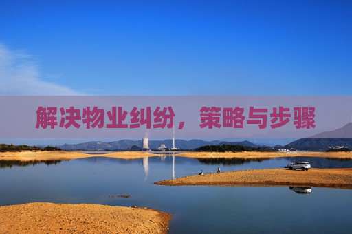 解决物业纠纷，策略与步骤