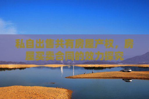 私自出售共有房屋产权，房屋买卖合同的效力探究