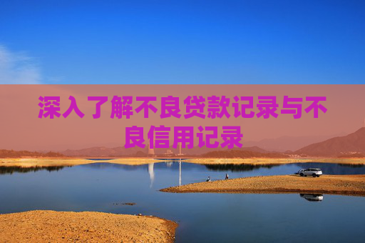 深入了解不良贷款记录与不良信用记录