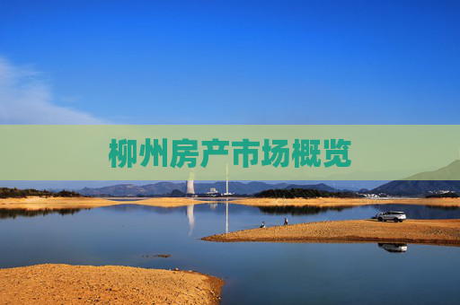 柳州房产市场概览