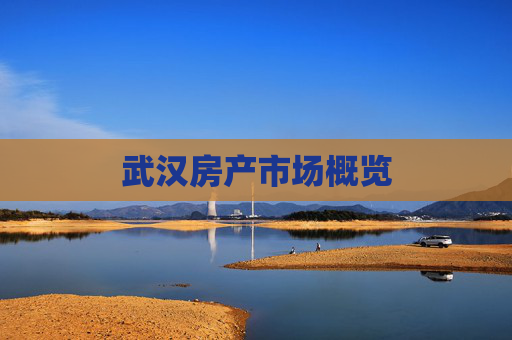 武汉房产市场概览