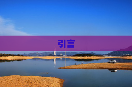引言