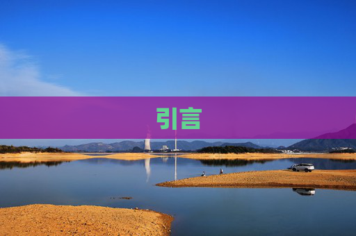 引言