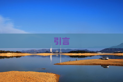 引言
