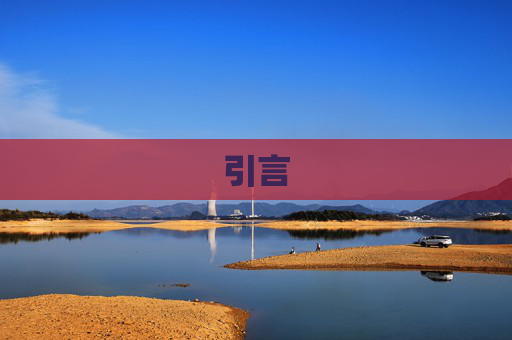 引言
