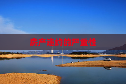 房产违约的严重性